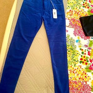 AG Farrah velvet high rise skinny pant.
